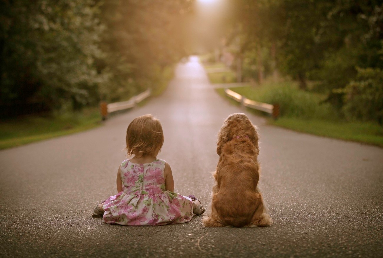 girl and dog beautiful